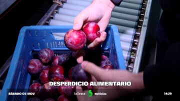 Ahorrar comprando fruta fea: una empresa de Lleida rescata las piezas que tirarían las grandes superficies