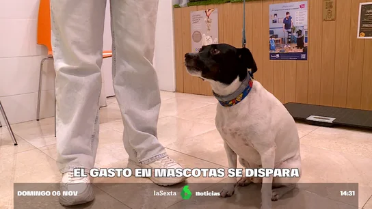 IPC Y MASCOTAS IPC Y MASCOTAS