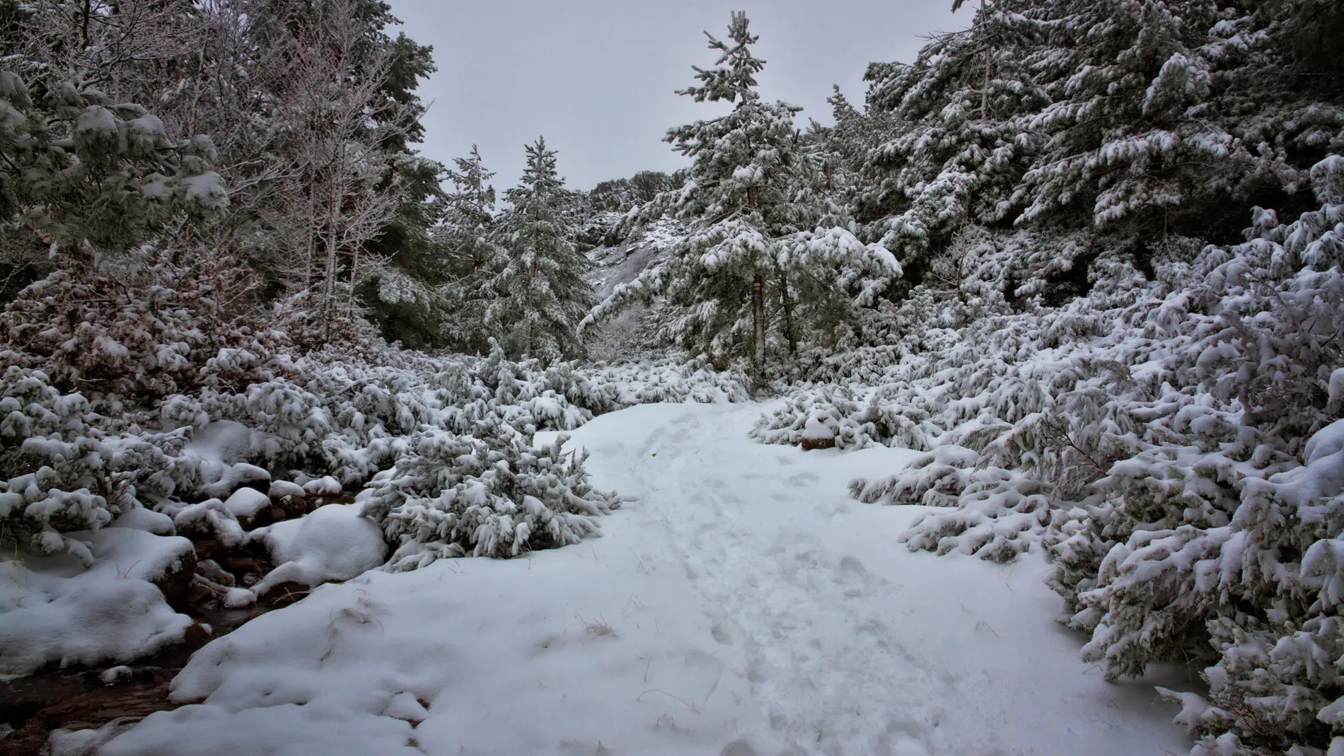 Imagen de archivo de nieve