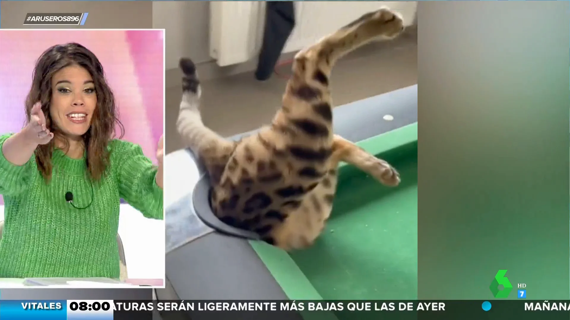 Un gato se queda atascado en el agujero de una mesa de billar y su amigo llega para 'ayudarle'