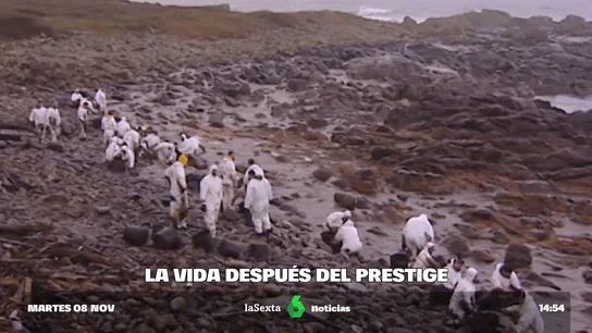 La vida de los voluntarios después del Prestige: "Esa catástrofe solo se solucionaba con miles de manos" La vida de los voluntarios después del Prestige: "Esa catástrofe solo se solucionaba con miles de manos"