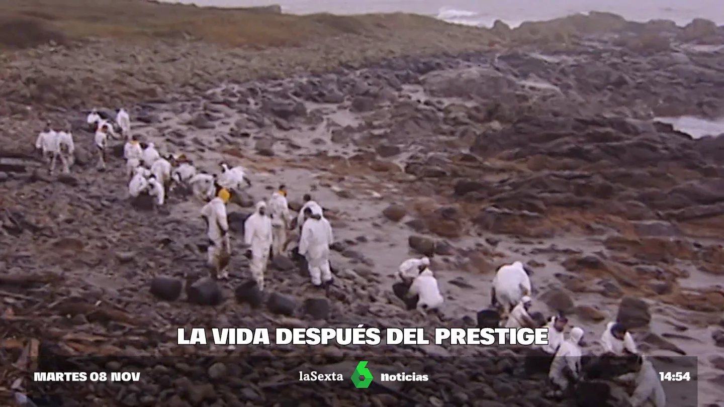 La vida de los voluntarios después del Prestige: "Esa catástrofe solo se solucionaba con miles de manos" La vida de los voluntarios después del Prestige: "Esa catástrofe solo se solucionaba con miles de manos"