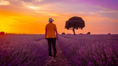 Brihuega, Guadalajara Brihuega, Guadalajara