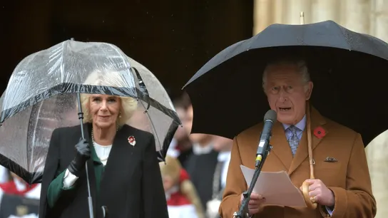 Detenido tras lanzar tres huevos al rey Carlos III y a su esposa Camila Detenido tras lanzar tres huevos al rey Carlos III y a su esposa Camila