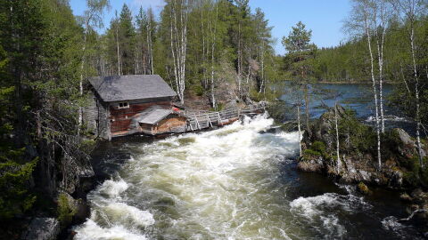 Oulanka