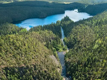 Parque Nacional de Oulanka: un imprescindible en un viaje a Finlandia Parque Nacional de Oulanka: un imprescindible en un viaje a Finlandia