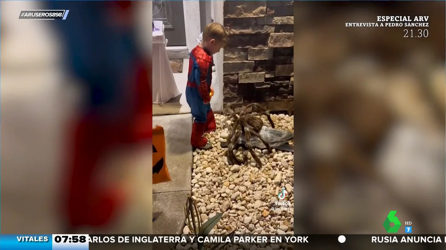 El tremendo susto que se lleva este pequeño Spider-Man por culpa de una araña gigante El tremendo susto que se lleva este pequeño Spider-Man por culpa de una araña gigante