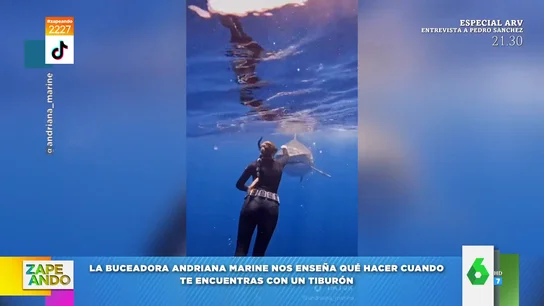 Una buceadora explica qué hacer si te encuentras a un tiburón y no, no es comenzar a nadar: "Así te conviertes en su objetivo" Una buceadora explica qué hacer si te encuentras a un tiburón y no, no es comenzar a nadar: "Así te conviertes en su objetivo"