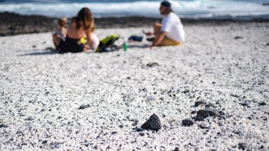 Las playas palomitas de Fuerteventura, en peligro por saqueo