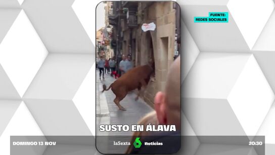 Susto en &Aacute;lava