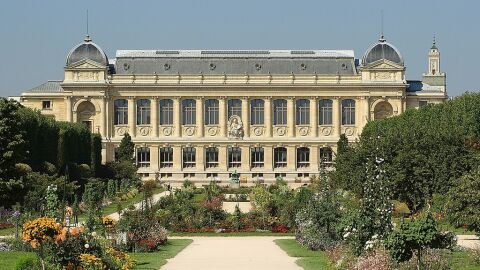 Jardin des Plantes