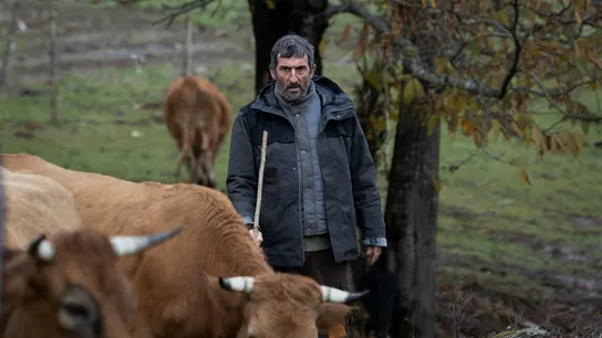 El crimen de Santoalla, la historia real que dejó conmocionada a Galicia e inspiró la película 'As Bestas' El crimen de Santoalla, la historia real que dejó conmocionada a Galicia e inspiró la película 'As Bestas'