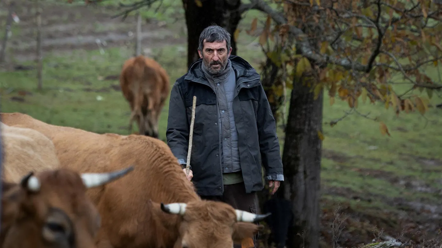 El crimen de Santoalla, la historia real que dejó conmocionada a Galicia e inspiró la película 'As Bestas' El crimen de Santoalla, la historia real que dejó conmocionada a Galicia e inspiró la película 'As Bestas'