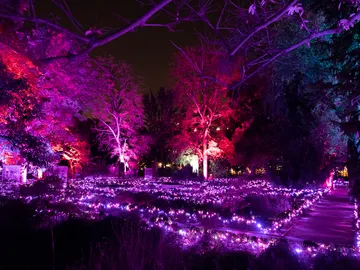 Naturaleza Encendida del Jardín Botánico de Madrid Naturaleza Encendida del Jardín Botánico de Madrid