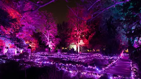 Naturaleza Encendida del Jardín Botánico de Madrid Naturaleza Encendida del Jardín Botánico de Madrid