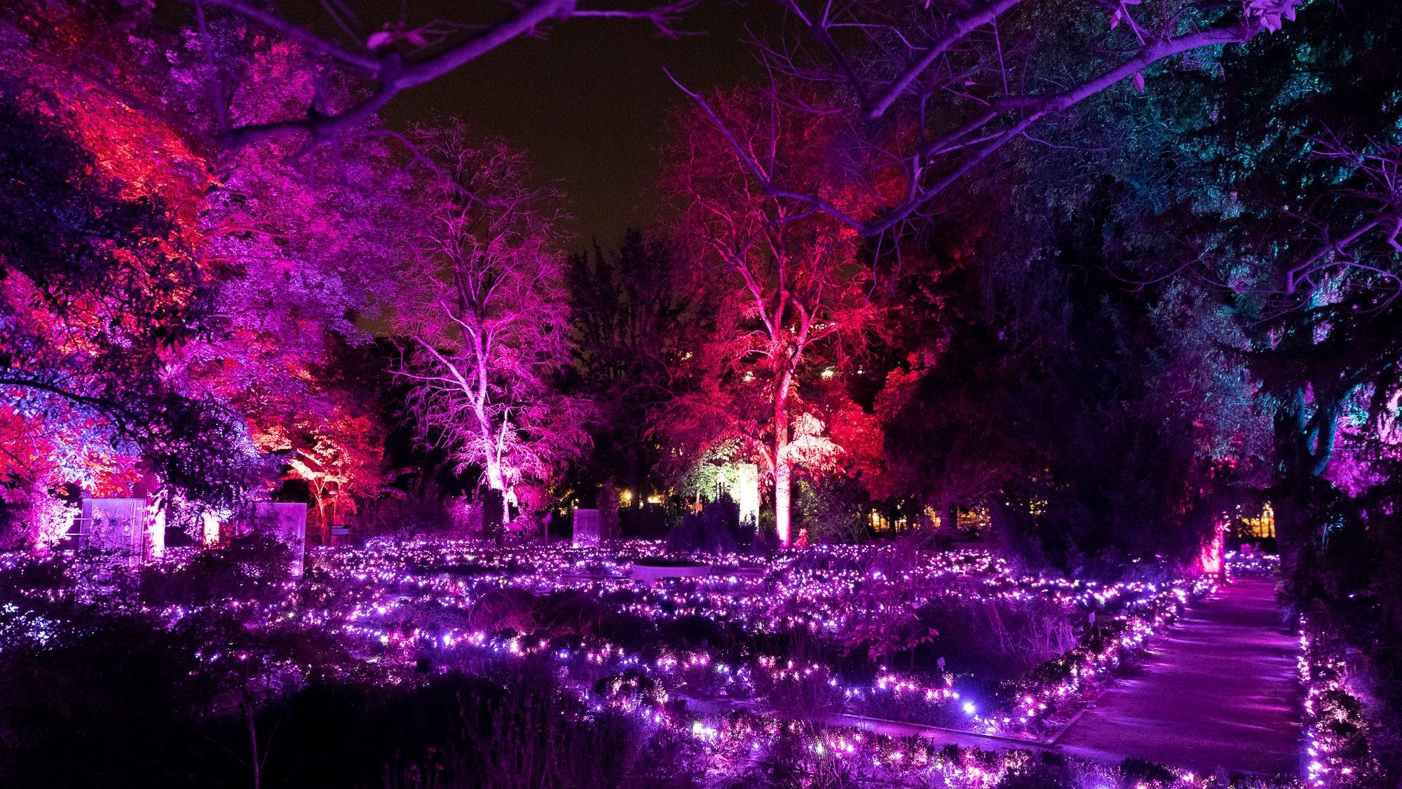 Naturaleza Encendida del Jardín Botánico de Madrid