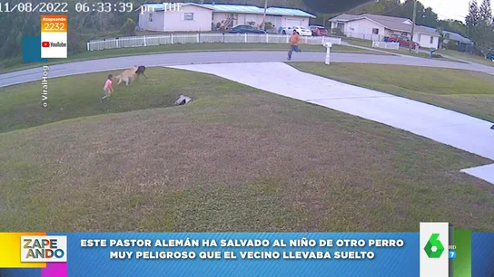 El vídeo viral de un perro defendiendo a su niño del ataque de otro perro El vídeo viral de un perro defendiendo a su niño del ataque de otro perro
