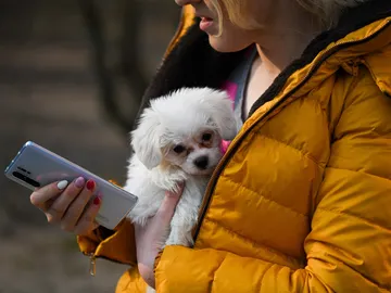 Chica con perro y móvil en la mano Chica con perro y móvil en la mano