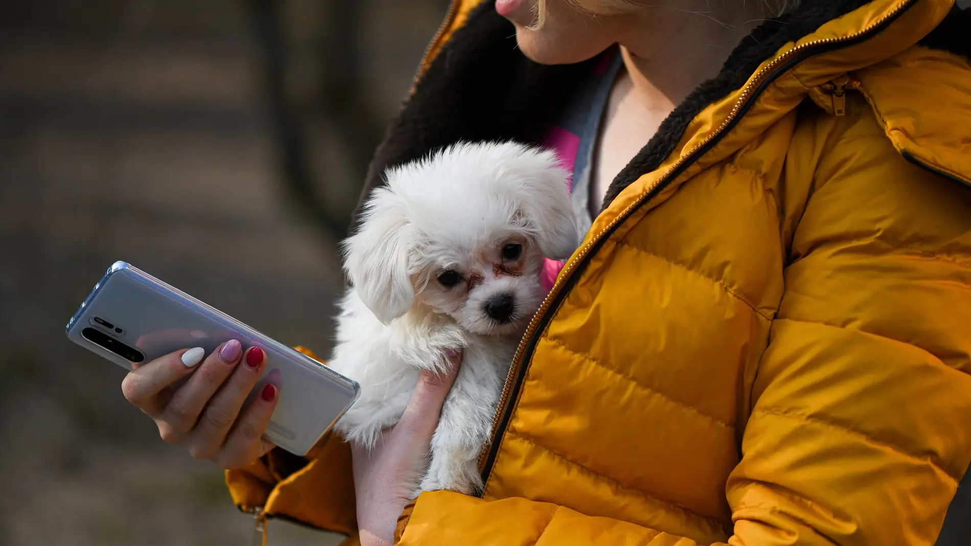 Chica con perro y móvil en la mano