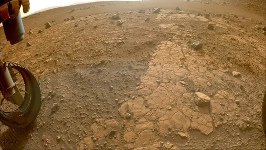 El rover Perseverance de la NASA investiga un "intrigante" lecho de roca en Marte El rover Perseverance de la NASA investiga un "intrigante" lecho de roca en Marte