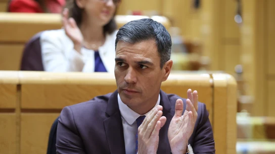 El presidente del Gobierno, Pedro Sánchez, durante el pleno del Senado El presidente del Gobierno, Pedro Sánchez, durante el pleno del Senado