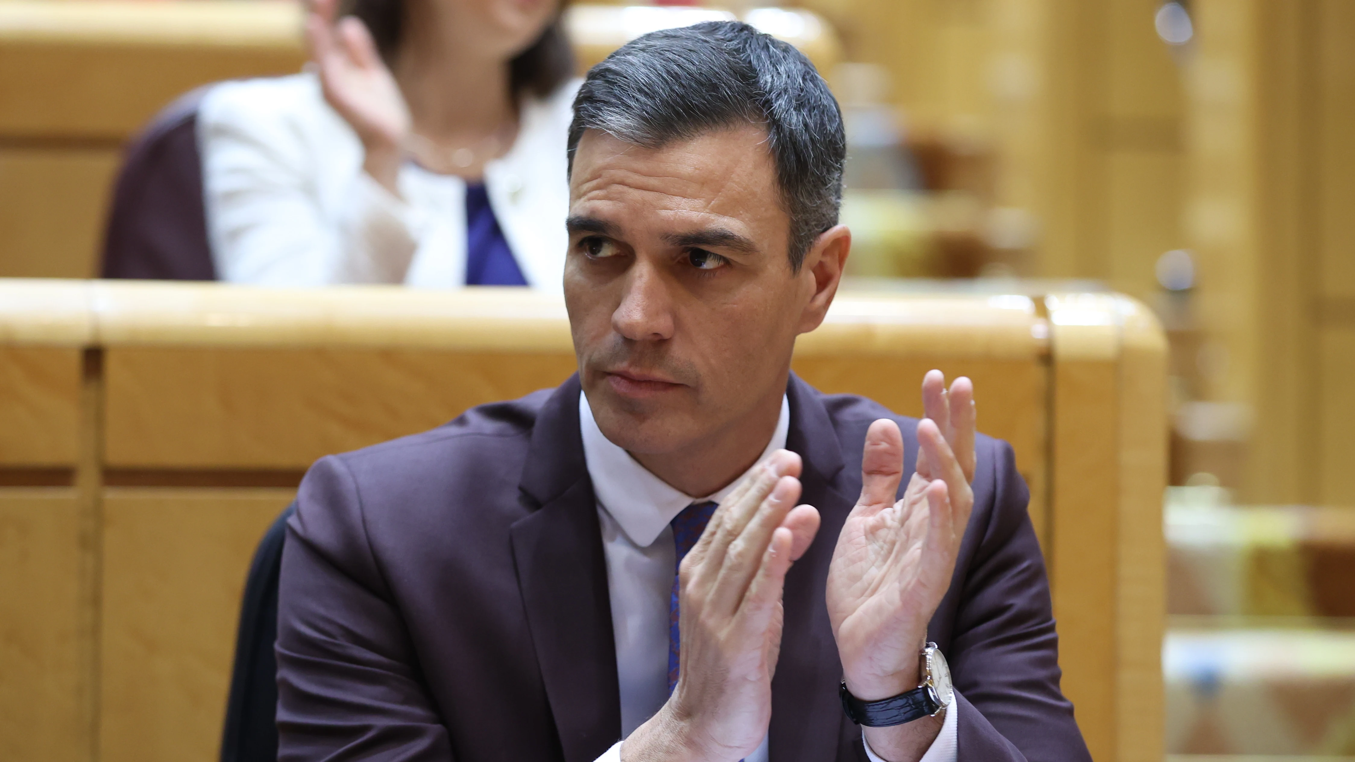 El presidente del Gobierno, Pedro Sánchez, durante el pleno del Senado