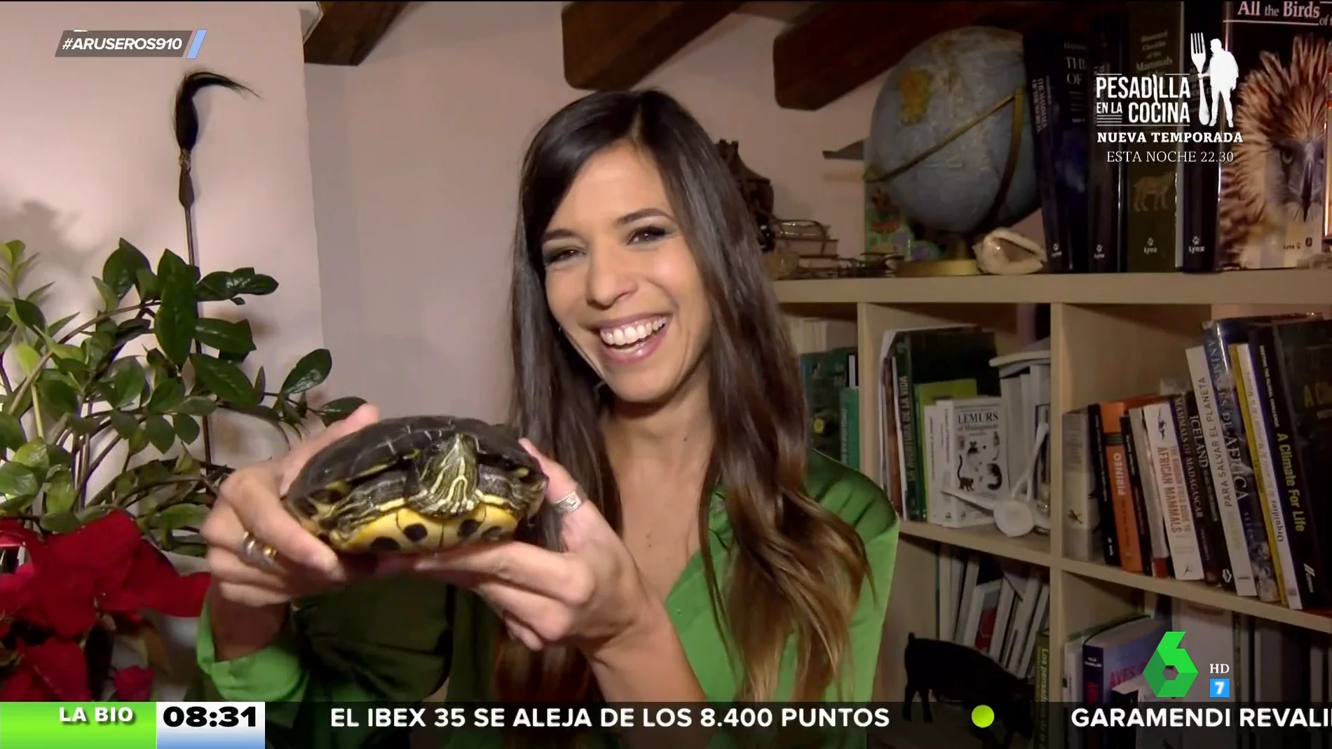 Evelyn Segura tiene un invitado en casa: la historia de esta tortuga que ha sido rescatada de una balsa