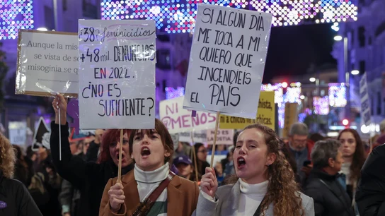 Organizaciones feministas de Madrid han organizado este viernes una manifestación en la capital con motivo del 25N Organizaciones feministas de Madrid han organizado este viernes una manifestación en la capital con motivo del 25N