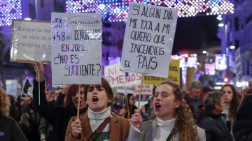 Organizaciones feministas de Madrid han organizado este viernes una manifestación en la capital con motivo del 25N