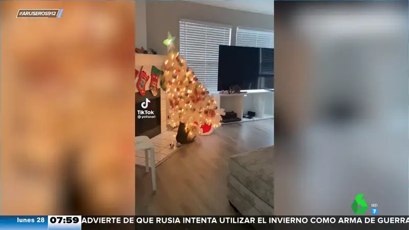 Un gato es engullido por el árbol de Navidad con el que estaba jugando