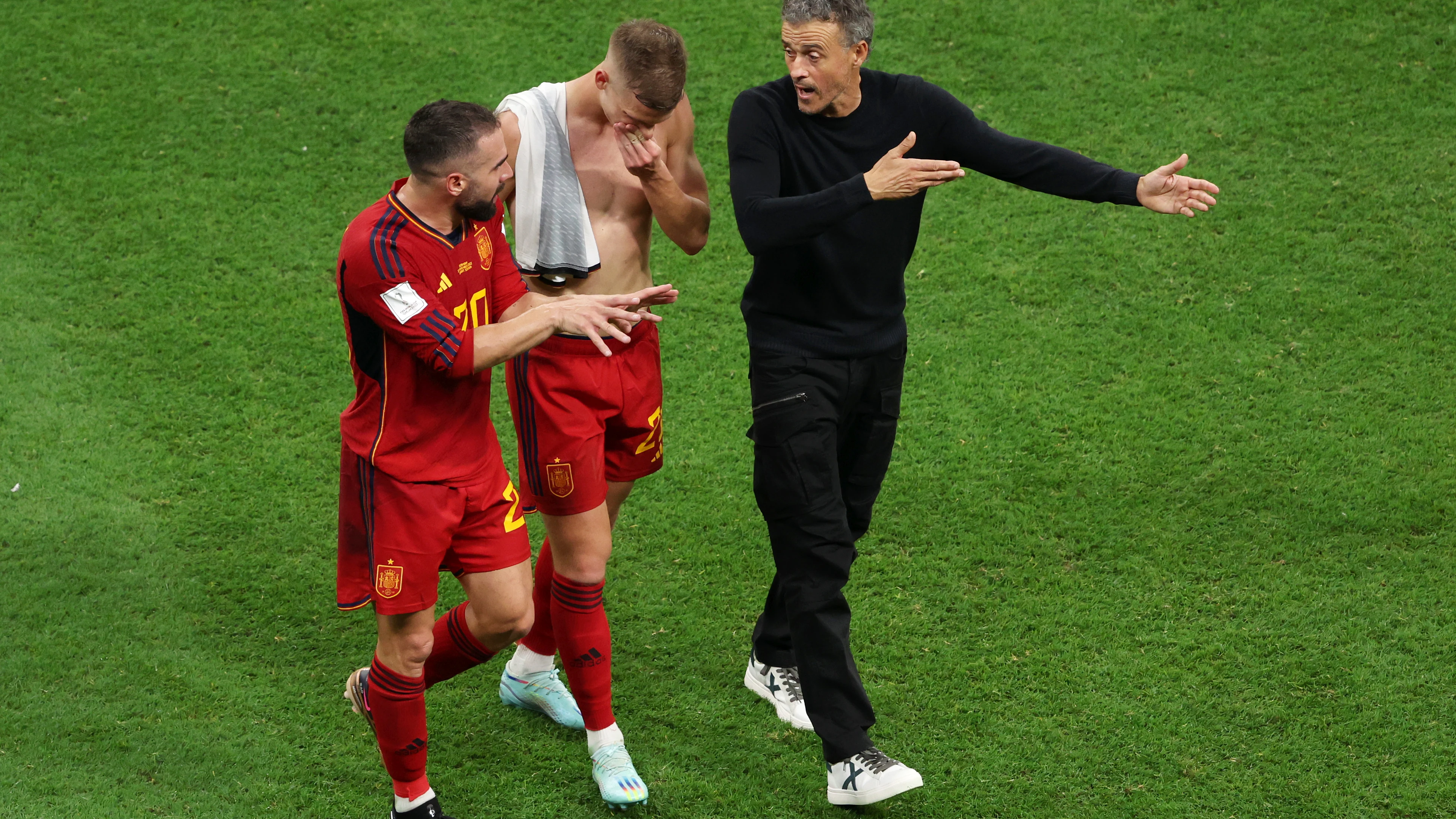 Carvajal, Dani Olmo y Luis Enrique