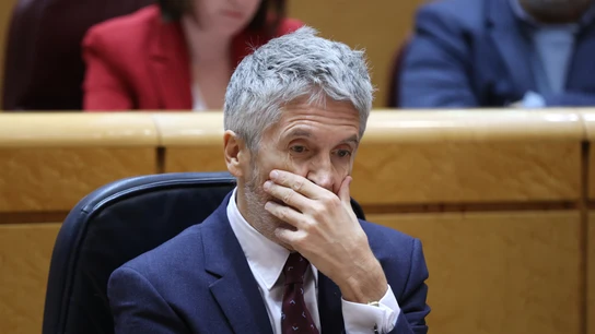 El ministro del Interior, Fernando Grande-Marlaska, en un pleno del Senado en Madrid. El ministro del Interior, Fernando Grande-Marlaska, en un pleno del Senado en Madrid | EFE/Kiko Huesca