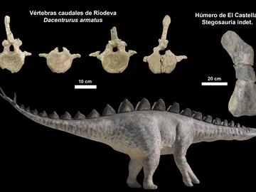 estegosaurio estegosaurio