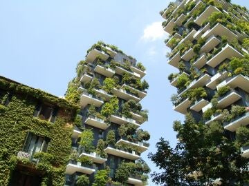 Jardín vertical urbano 