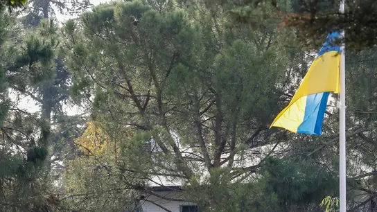 Embajada de Ucrania en Madrid Embajada de Ucrania en Madrid