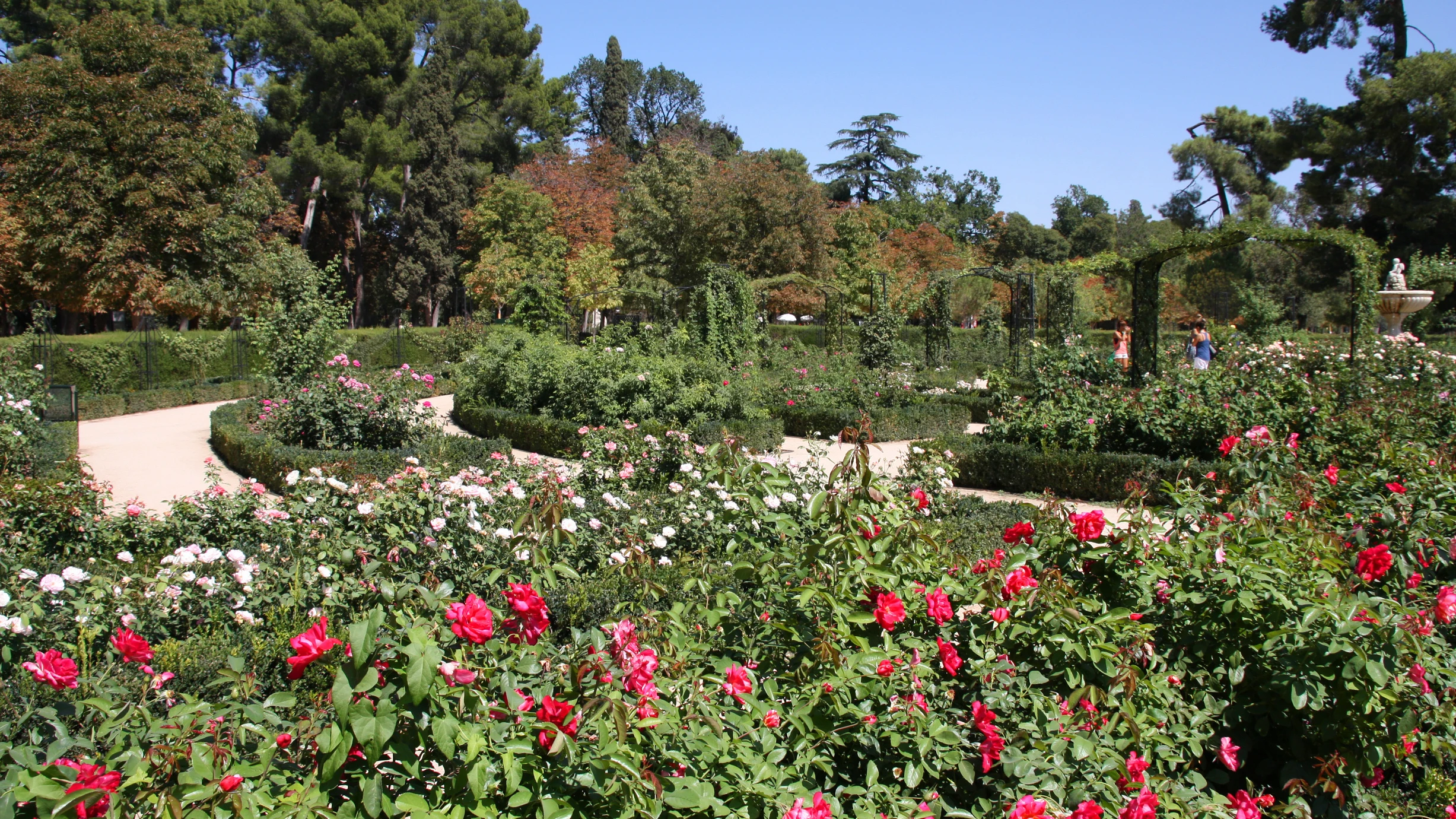 Jardín Botánico de Madrid Jardín Botánico de Madrid