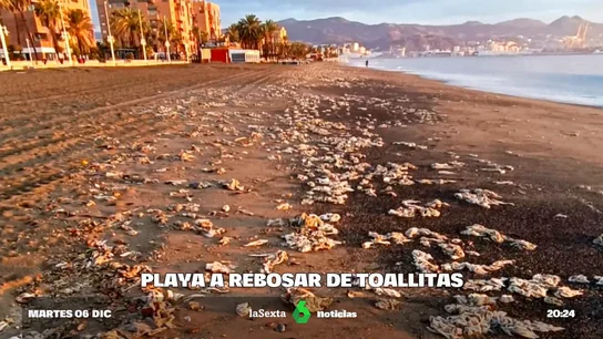 TOALLITAS MÁLAGA TOALLITAS MÁLAGA