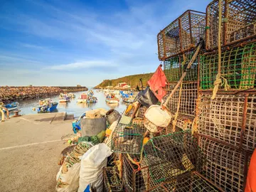 Alentejo: el Portugal más cautivador Alentejo: el Portugal más cautivador