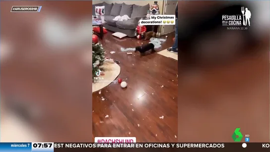 La patrulla canina antinavidad: así destrozan estos perros los adornos navideños La patrulla canina antinavidad: así destrozan estos perros los adornos navideños