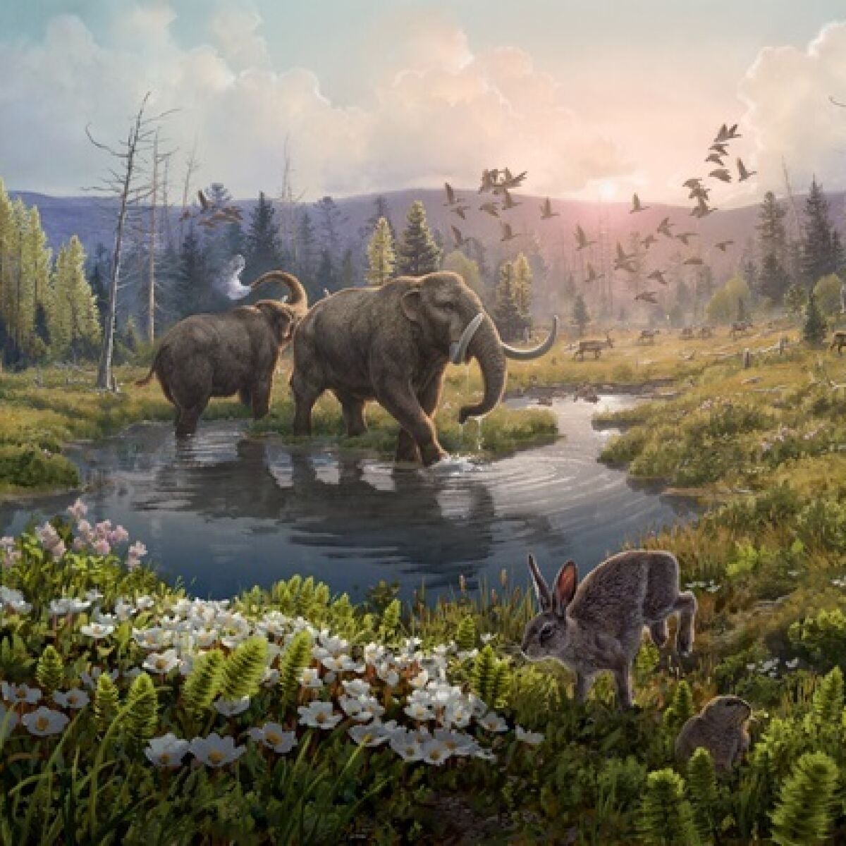 El ADN más antiguo del mundo permite reconstruir el