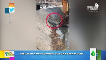 El rescate viral con excavadora de un perro que se había caído a un cauce de agua 