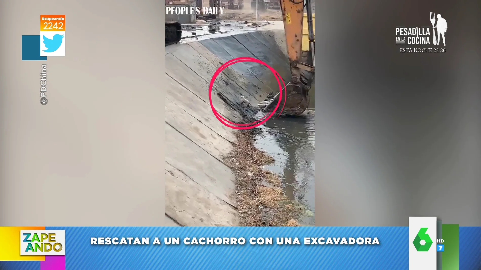 El rescate viral con excavadora de un perro que se había caído a un cauce de agua 