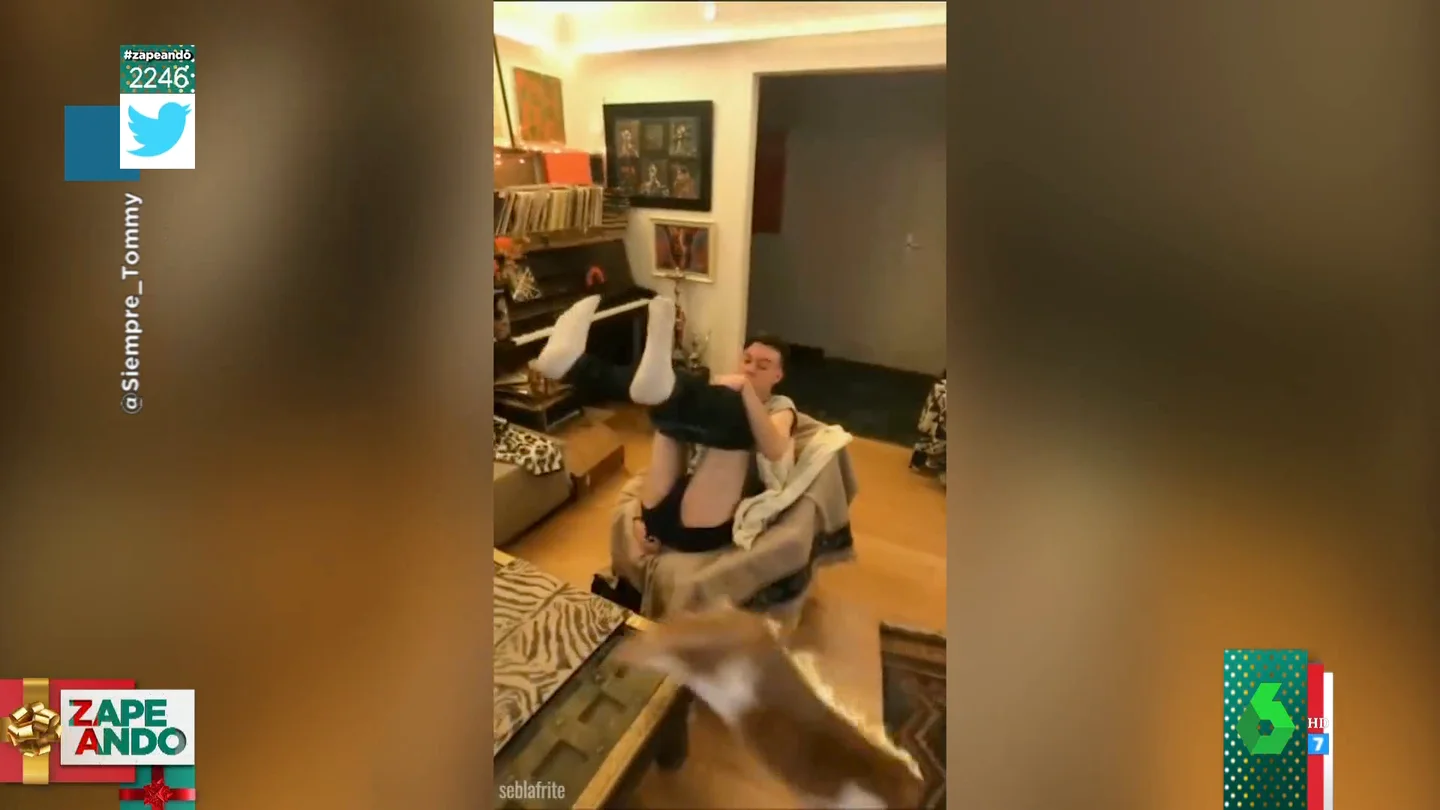pedo gato pedo gato