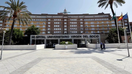 Hospital Universitario Virgen del Rocío Hospital Universitario Virgen del Rocío | EFE/José Manuel Vidal