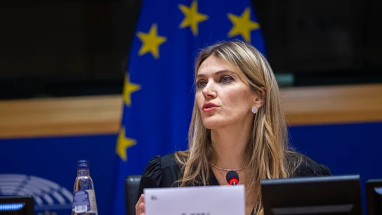 Eva Kaili, durante una sesión del Parlamento Europeo Eva Kaili, durante una sesión del Parlamento Europeo