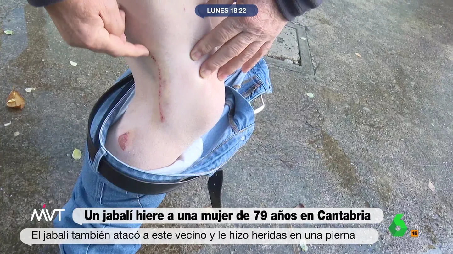 jabali iguña jabali iguña