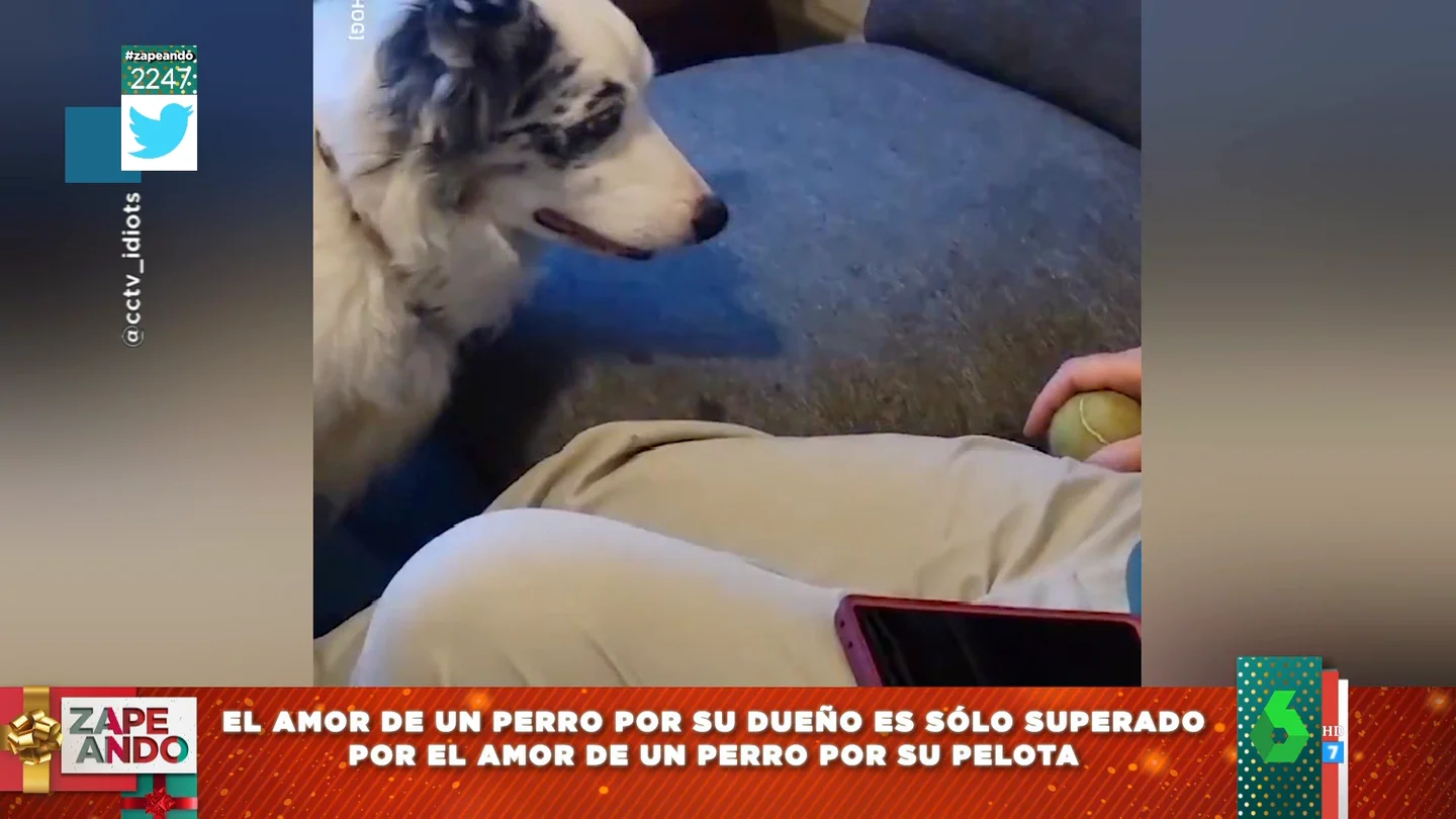 El tierno vídeo de un abuelo dormido con una pelota en la mano mientras su perro espera a que se la lance El tierno vídeo de un abuelo dormido con una pelota en la mano mientras su perro espera a que se la lance