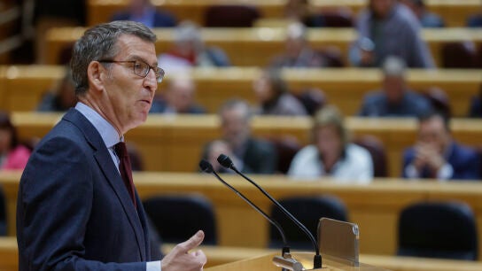 El l&iacute;der del PP, Alberto N&uacute;&ntilde;ez Feij&oacute;o, en el Senado