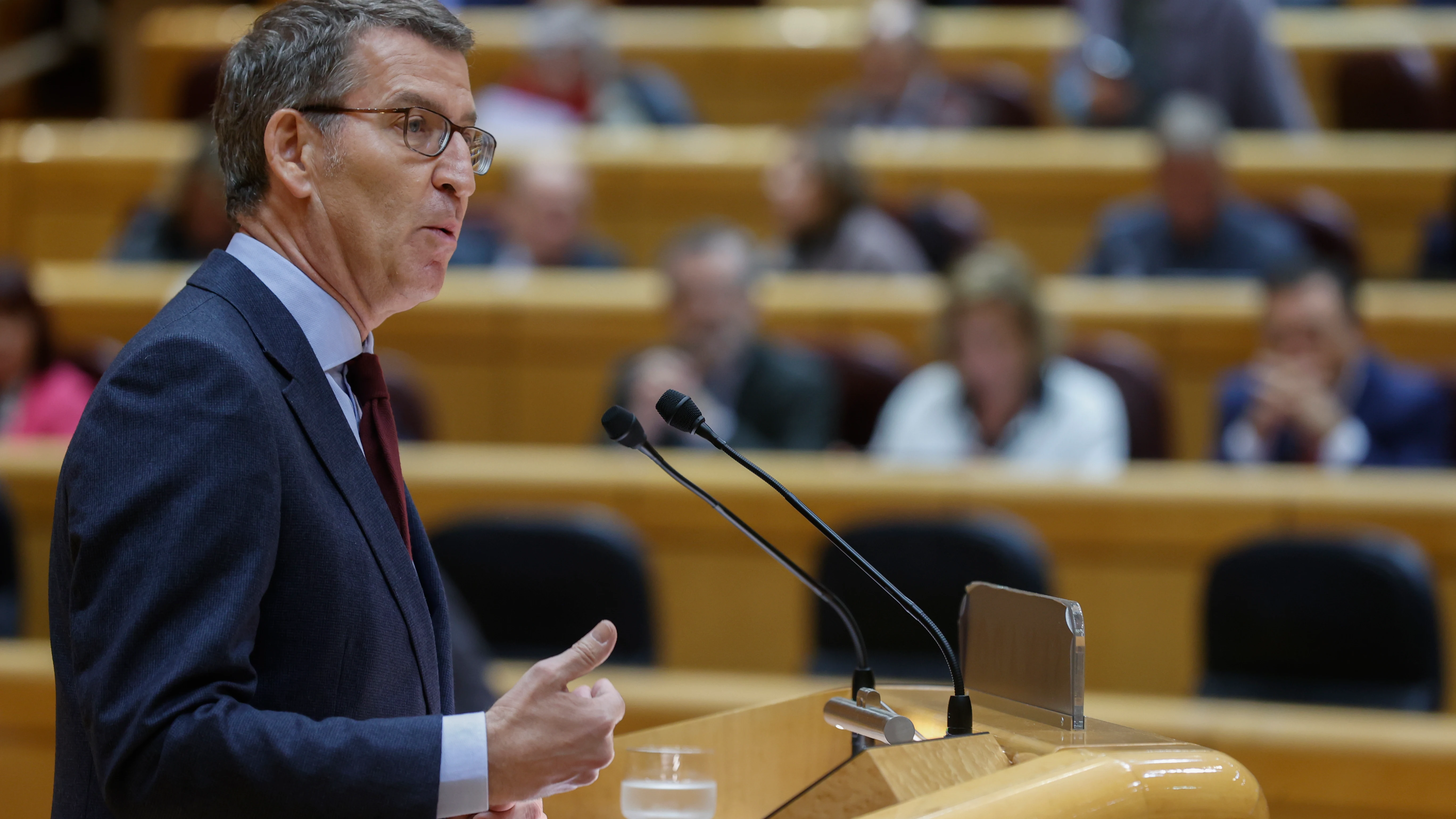 El líder del PP, Alberto Núñez Feijóo, en el Senado El líder del PP, Alberto Núñez Feijóo, en el Senado