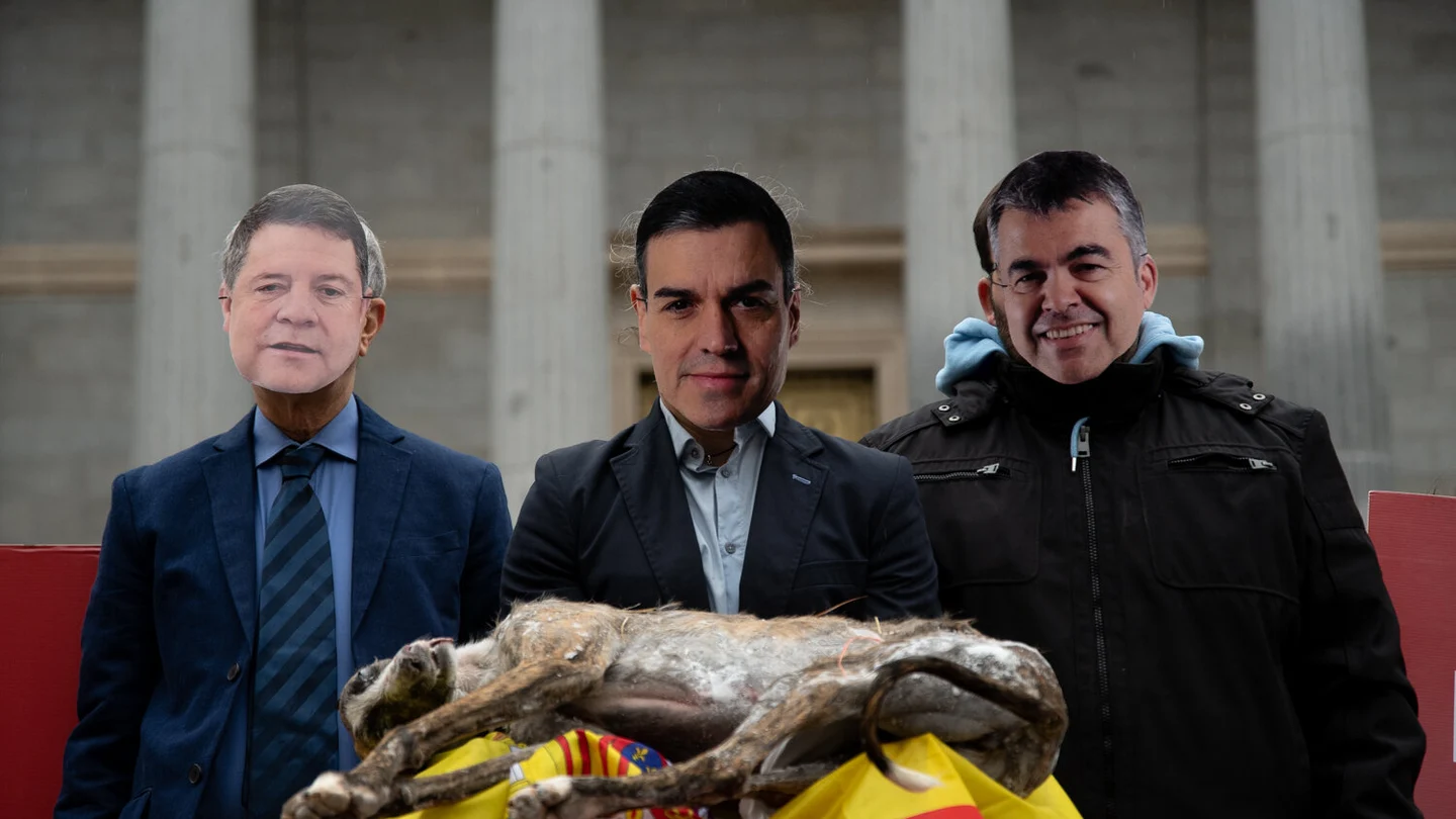 Animalistas protestan ante el Congreso con un galgo muerto. Animalistas protestan ante el Congreso con un galgo muerto.